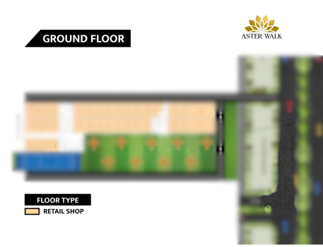 Aster Walk