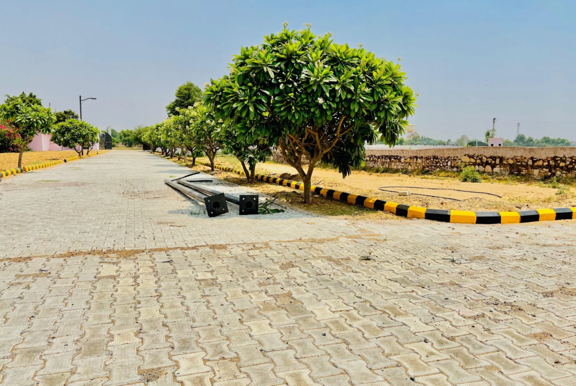 rlf city