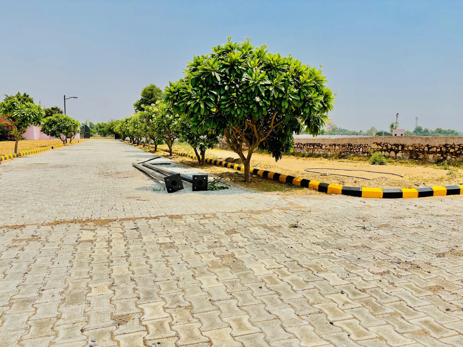 rlf city